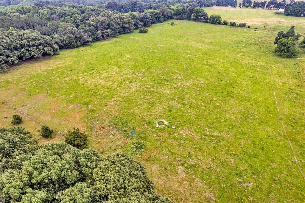 Farm Ranch in Tyler, Texas, United States 4 - 17952766