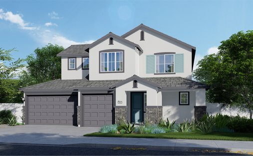 House in Elk Grove, California, United States 1