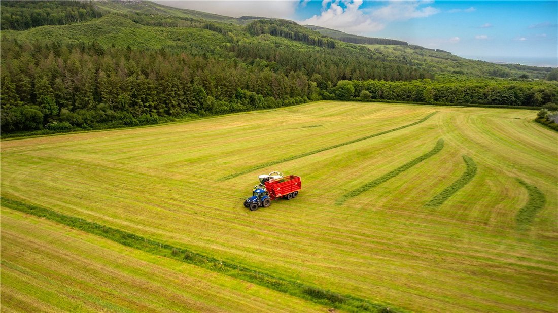 Terreno in Ireland 4 - 17948241