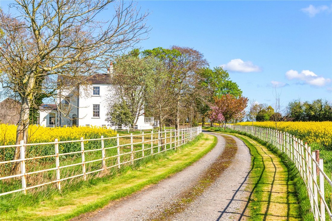 House in Portarlington, County Offaly, Ireland 4 - 17948273