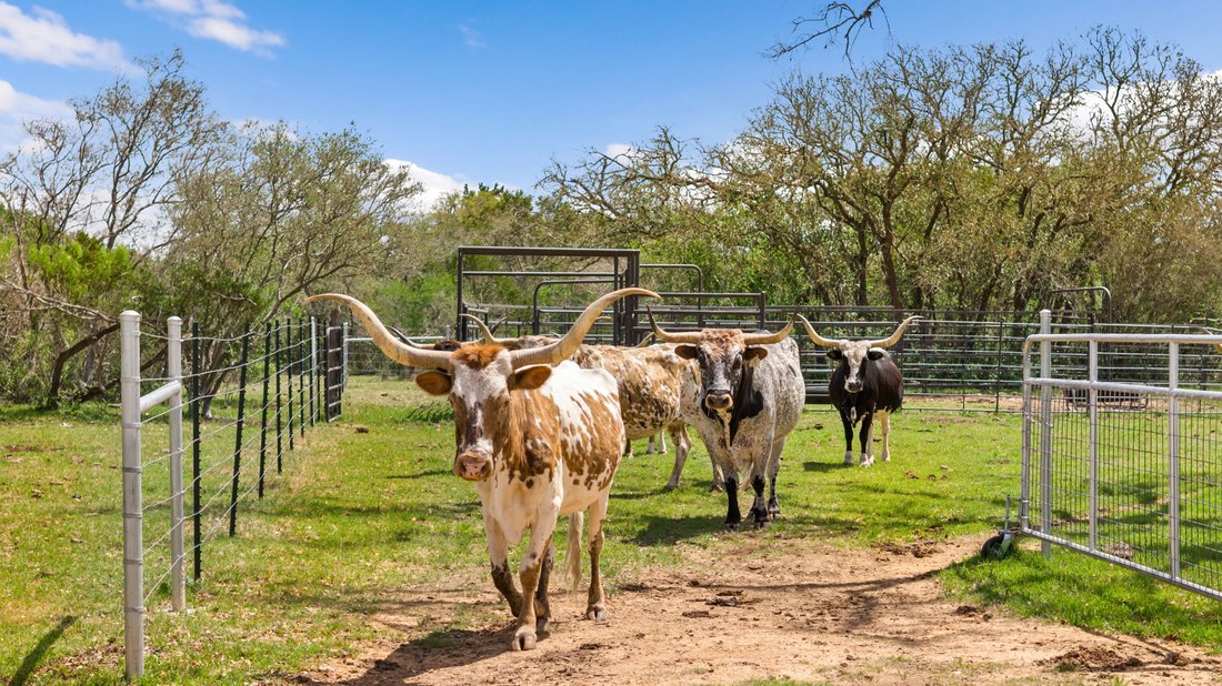 Farm Ranch in Wimberley, Texas, United States 3 - 17955788