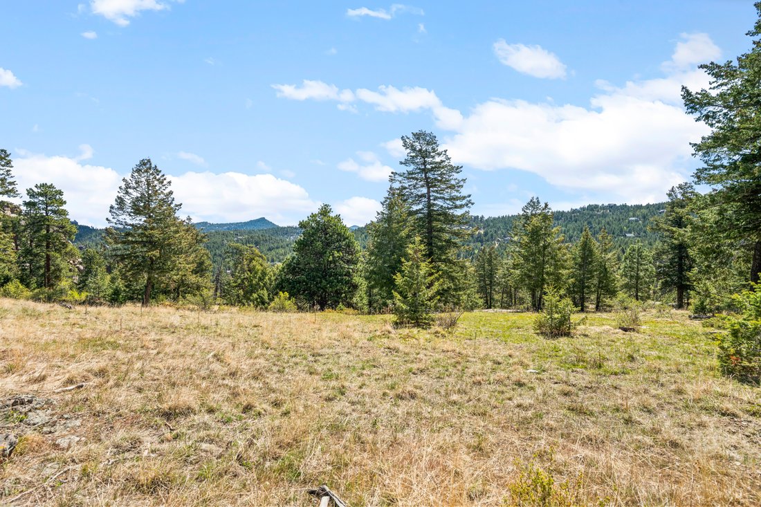 Land in Evergreen, Colorado, United States 5 - 17955569