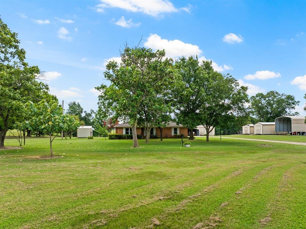 Farm Ranch in Pittsburg, Texas, United States 3 - 17952277