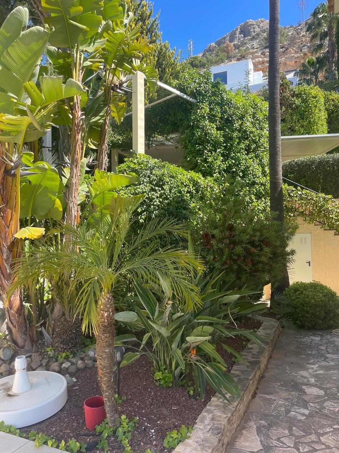 Villa in Zona de Mascarat, Valencian Community, Spain 5 - 17954401