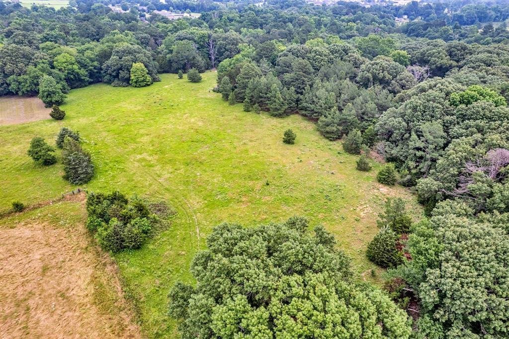 Farm Ranch in Tyler, Texas, United States 3 - 17952766