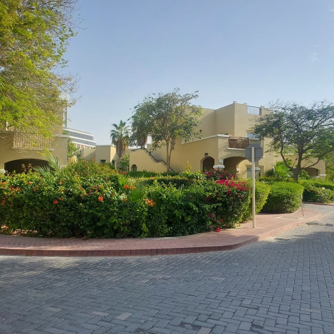Estate in Al Safouh Second, Al Safouh, Dubai 3 - 17955190