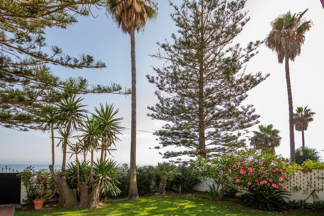 Villa in Rincon de la Victoria, Andalusia, Spain 4 - 17956678