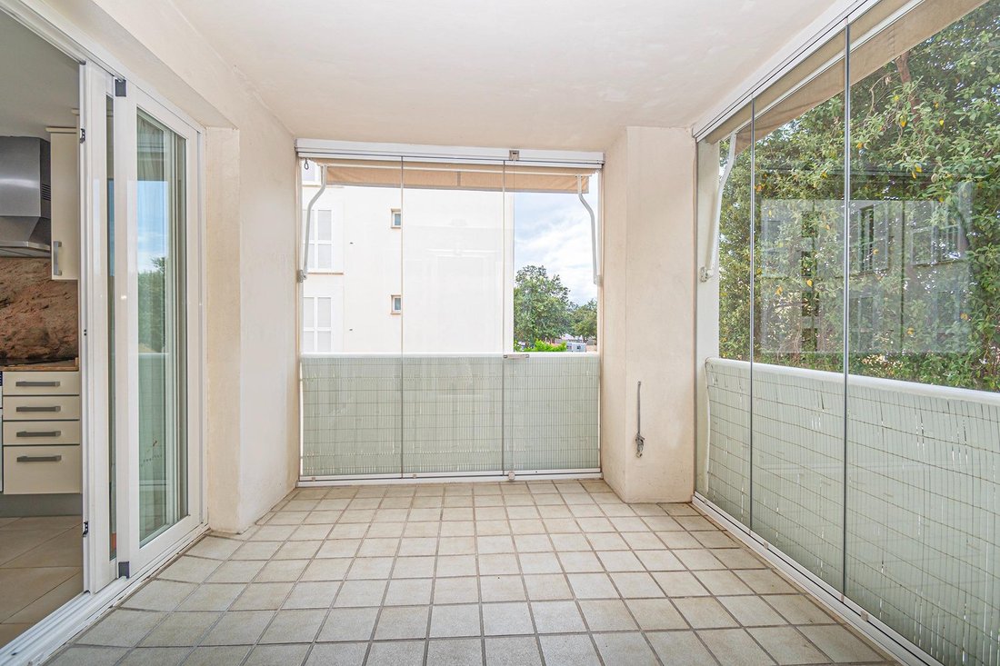 Apartment in Palma, Balearic Islands, Spain 4 - 17956705