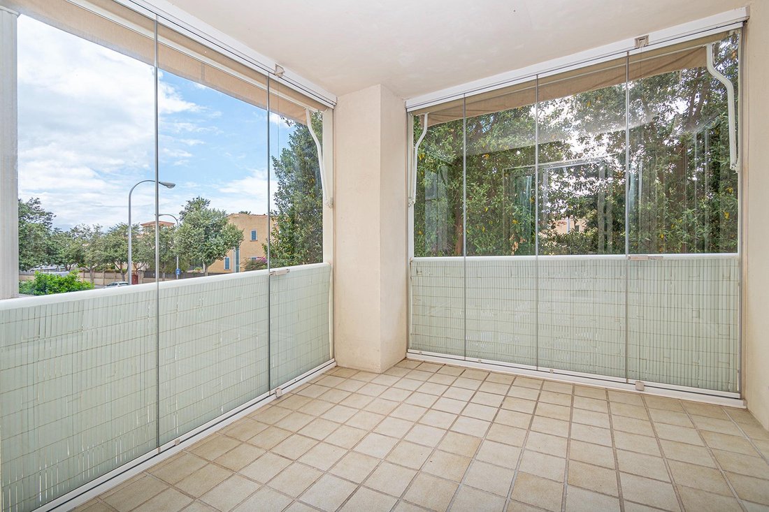 Apartment in Palma, Balearic Islands, Spain 3 - 17956705