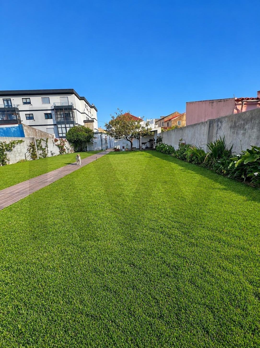 Townhouse in Sao Pedro, Coimbra District, Portugal 2 - 17956731