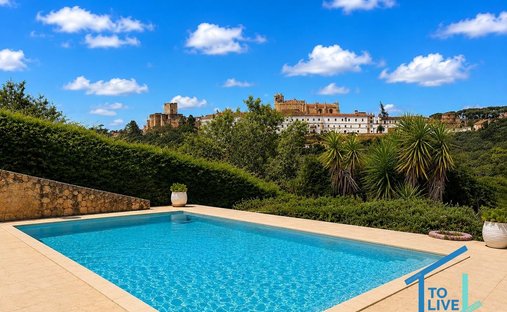 Villa in Tomar (Sao Joao Baptista) e Santa Maria dos Olivais, Santarem District, Portugal 1