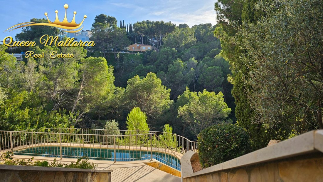 Apartment in Cas Catala, Calvia, Balearic Islands 2 - 16627430