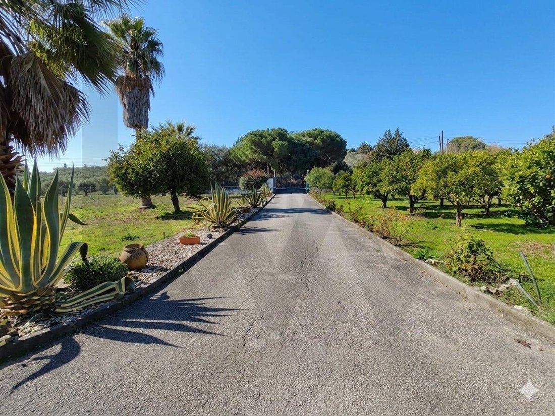Residenza a Achete, Azoia de Baixo e Povoa de Santarem, Distretto di Santarém, Portogallo 3 - 16994874