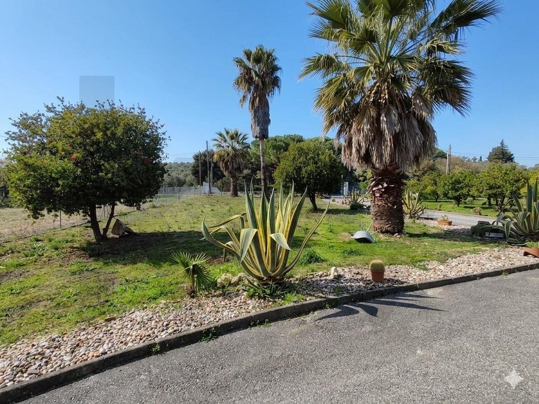 Residenza a Achete, Azoia de Baixo e Povoa de Santarem, Distretto di Santarém, Portogallo 2 - 16994874