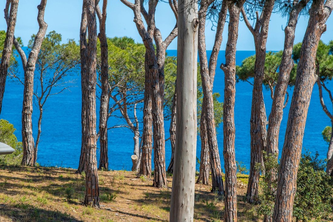 Villa in Sant Feliu de Guixols, Catalonia, Spain 3 - 16988071
