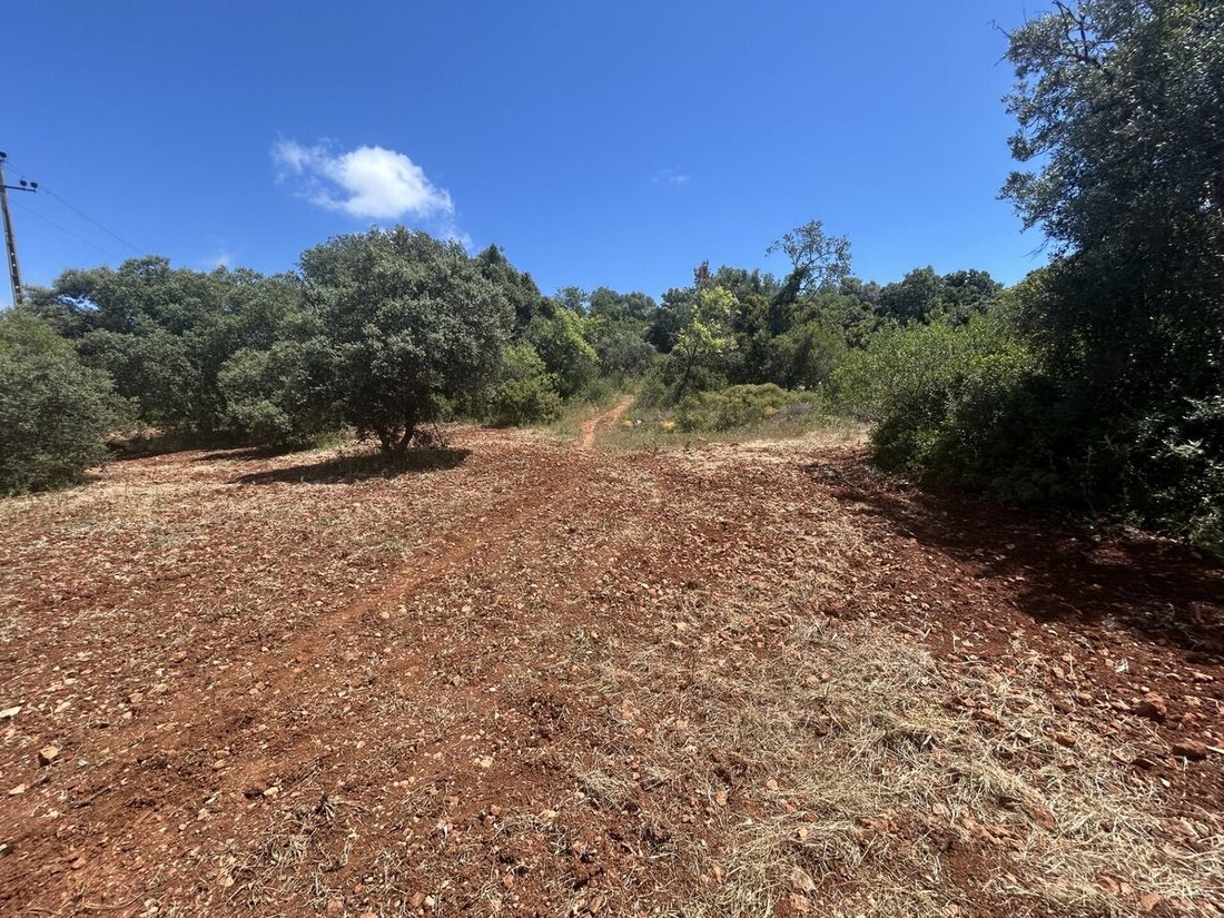Land in Almancil, Algarve, Portugal 5 - 17956575