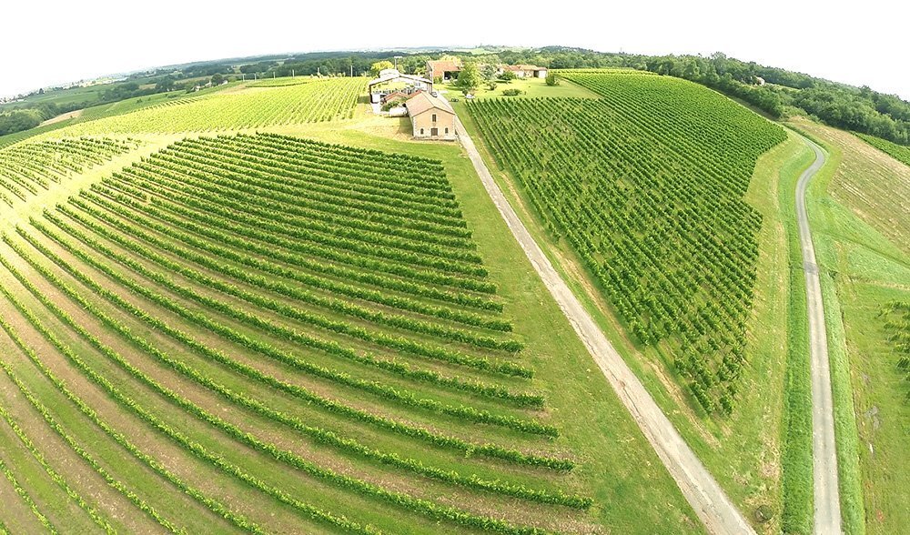 Land in Sauveterre-de-Guyenne, Nouvelle-Aquitaine, France 1 - 17956987