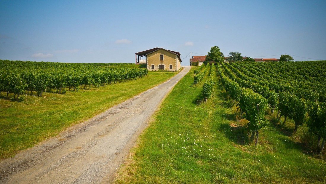Land in Sauveterre-de-Guyenne, Nouvelle-Aquitaine, France 4 - 17956987