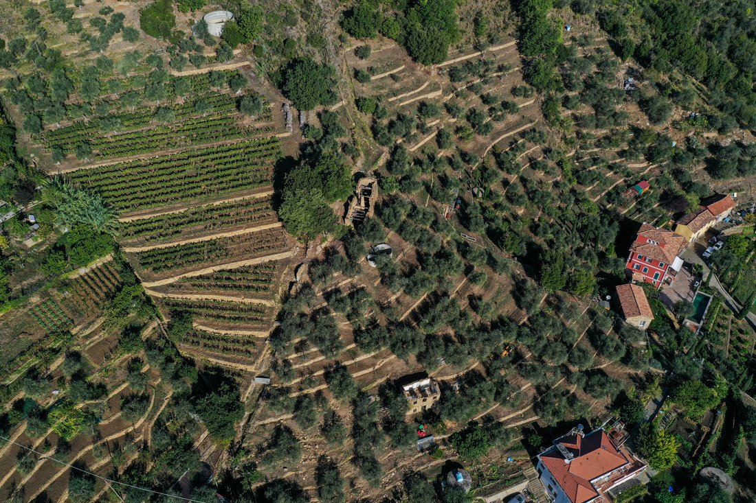 Estate in North Periphery, Sanremo, Liguria 5 - 17945820