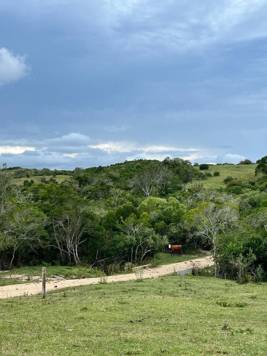 Estate in José Ignacio, Maldonado Department, Uruguay 2 - 17957278