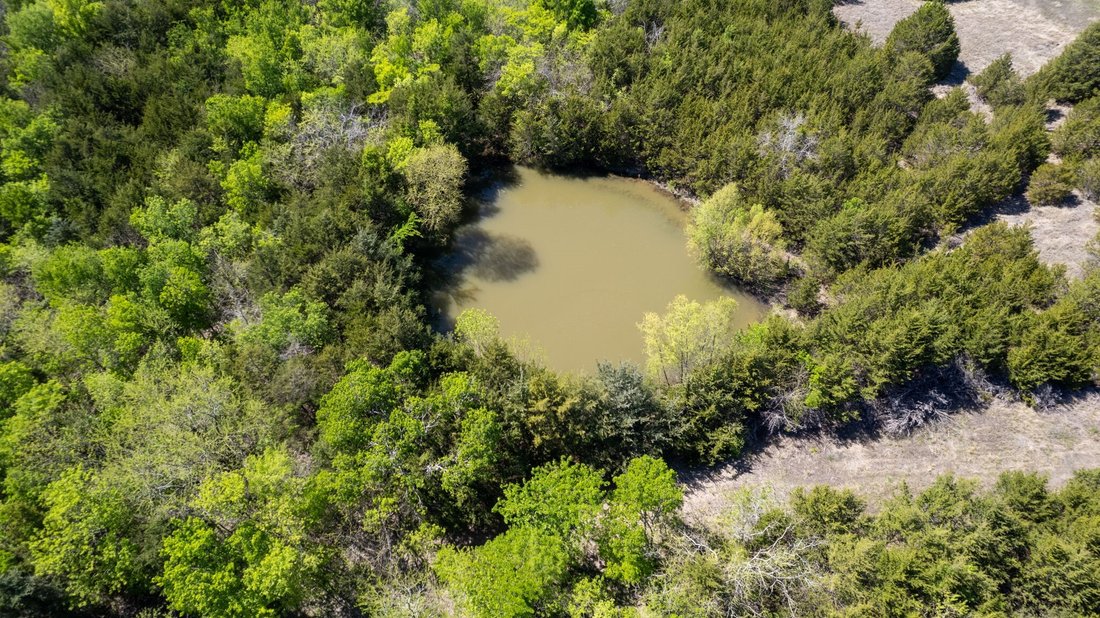 Land in Blue Ridge, Texas, United States 3 - 17957354