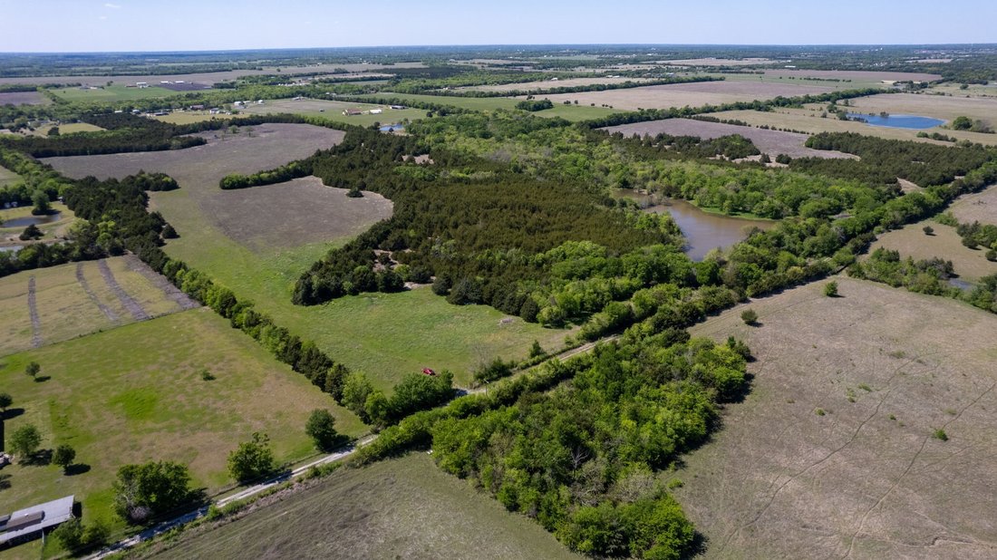 Land in Blue Ridge, Texas, United States 2 - 17957354
