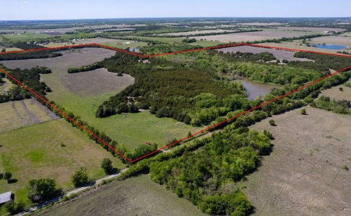 Land in Blue Ridge, Texas, United States 1