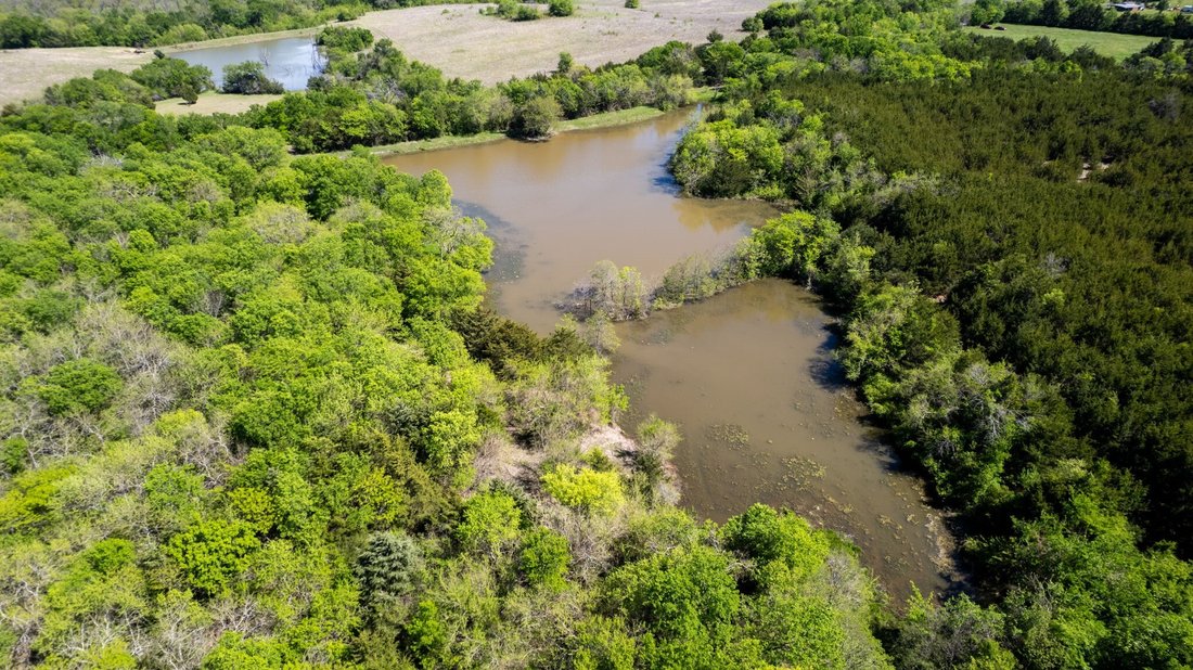 Land in Blue Ridge, Texas, United States 4 - 17957354