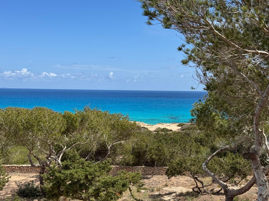 House in Formentera, Balearic Islands, Spain 4 - 17537369