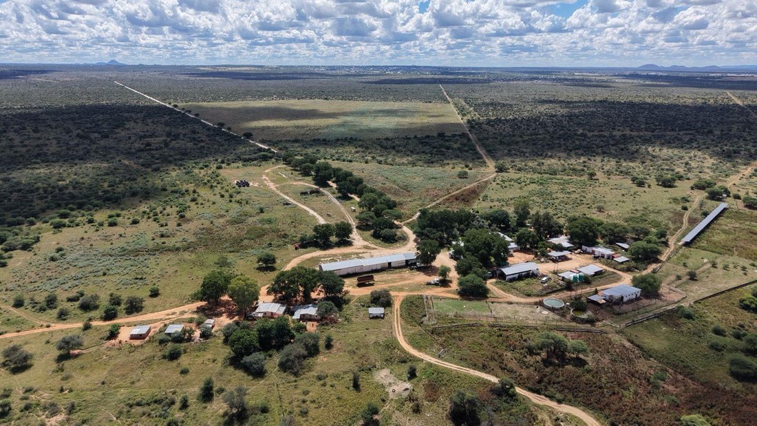 Farm Ranch in Grootfontein, Otjozondjupa Region, Namibia 5 - 17958765