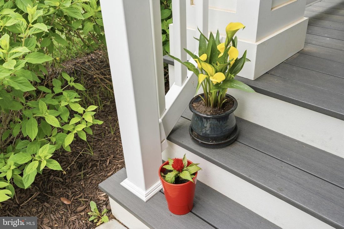 House in Lewes, Delaware, United States 3 - 17960146