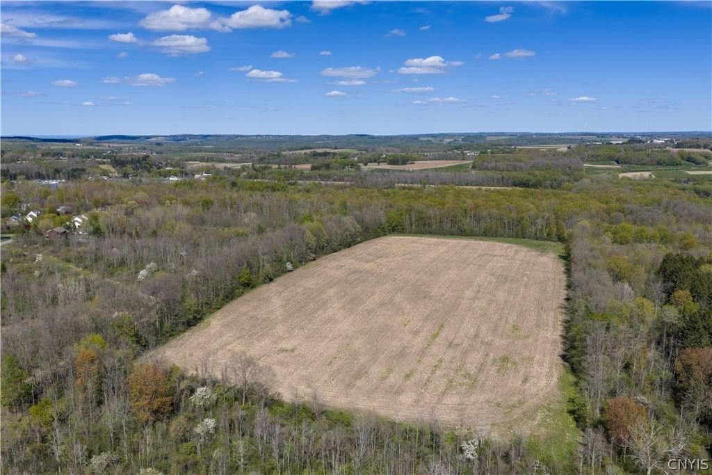 Land in Skaneateles, New York, United States 5 - 17963265