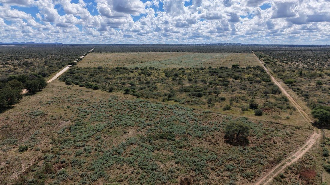 Farm Ranch in Grootfontein, Otjozondjupa Region, Namibia 3 - 17958765