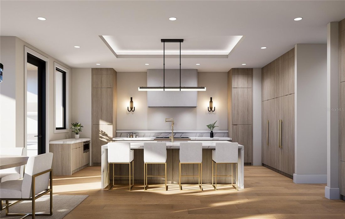House in Tampa, Florida, United States 4 - 17180751