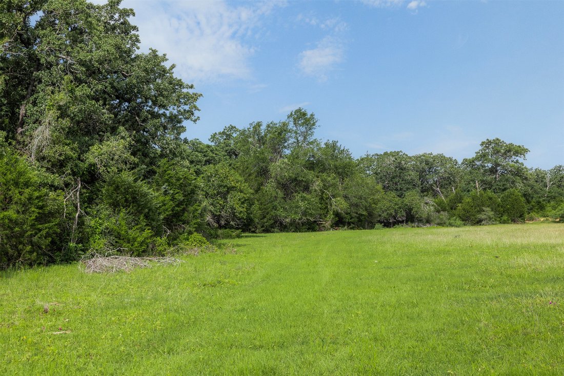 Farm Ranch in Thorndale, Texas, United States 3 - 17962403