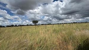 Farm Ranch in Steinhausen, Omaheke Region, Namibia 5 - 17958776