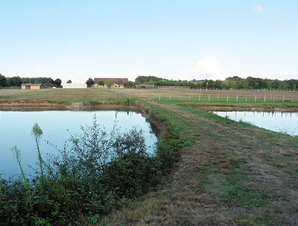 Estate in Sud, Montpon-Ménestérol, France 2 - 17958572