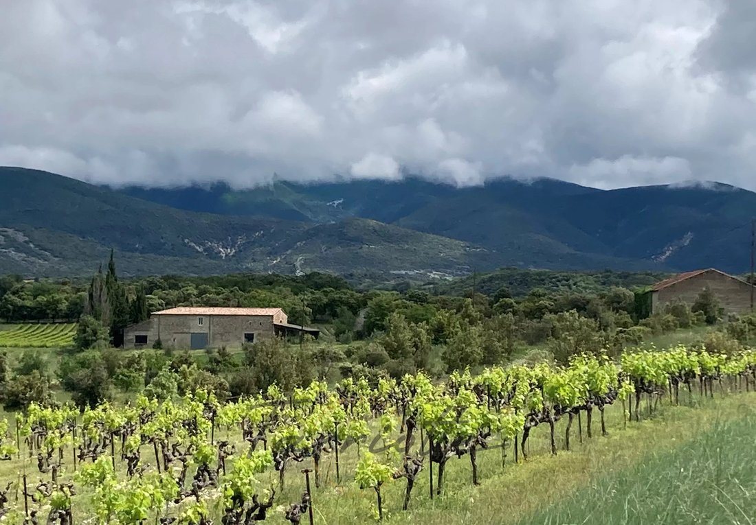 Farm Ranch in Montbrison-sur-Lez, Auvergne-Rhône-Alpes, France 4 - 15802305