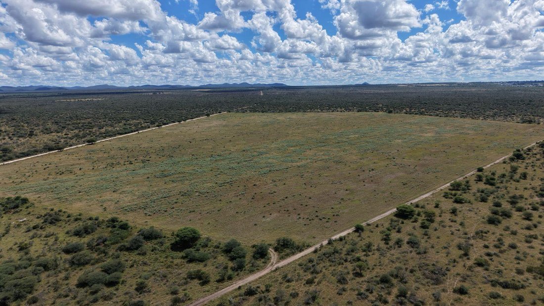 Farm Ranch in Grootfontein, Otjozondjupa Region, Namibia 4 - 17958765