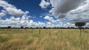 Farm Ranch in Steinhausen, Omaheke Region, Namibia 4 - 17958776