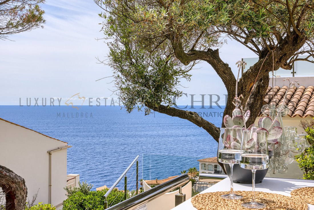 Apartment in Port d'Andratx, Andratx, Balearic Islands 1 - 17961800