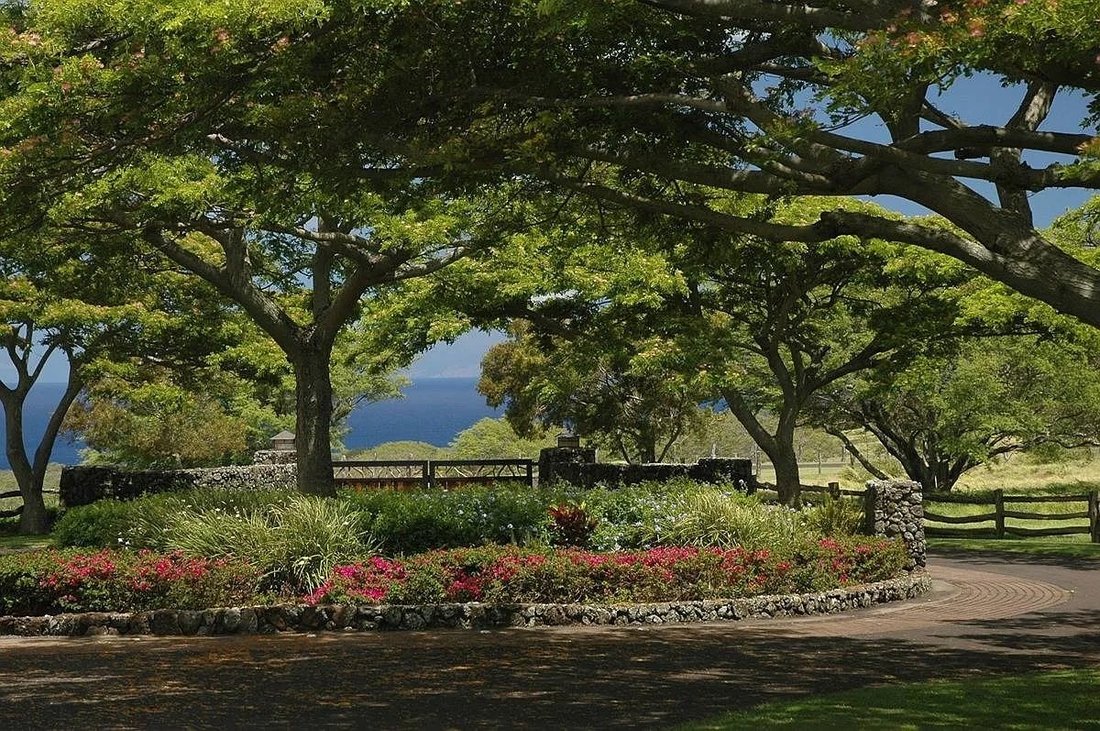 House in Hawi, Hawaii, United States 3 - 17960404