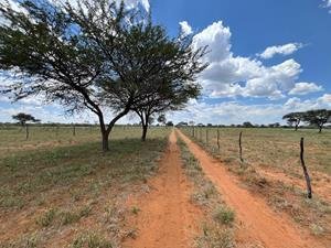 Farm Ranch in Steinhausen, Omaheke Region, Namibia 2 - 17958776