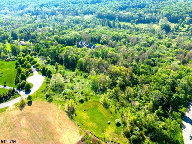 Land in Far Hills, New Jersey, United States 4 - 17863089
