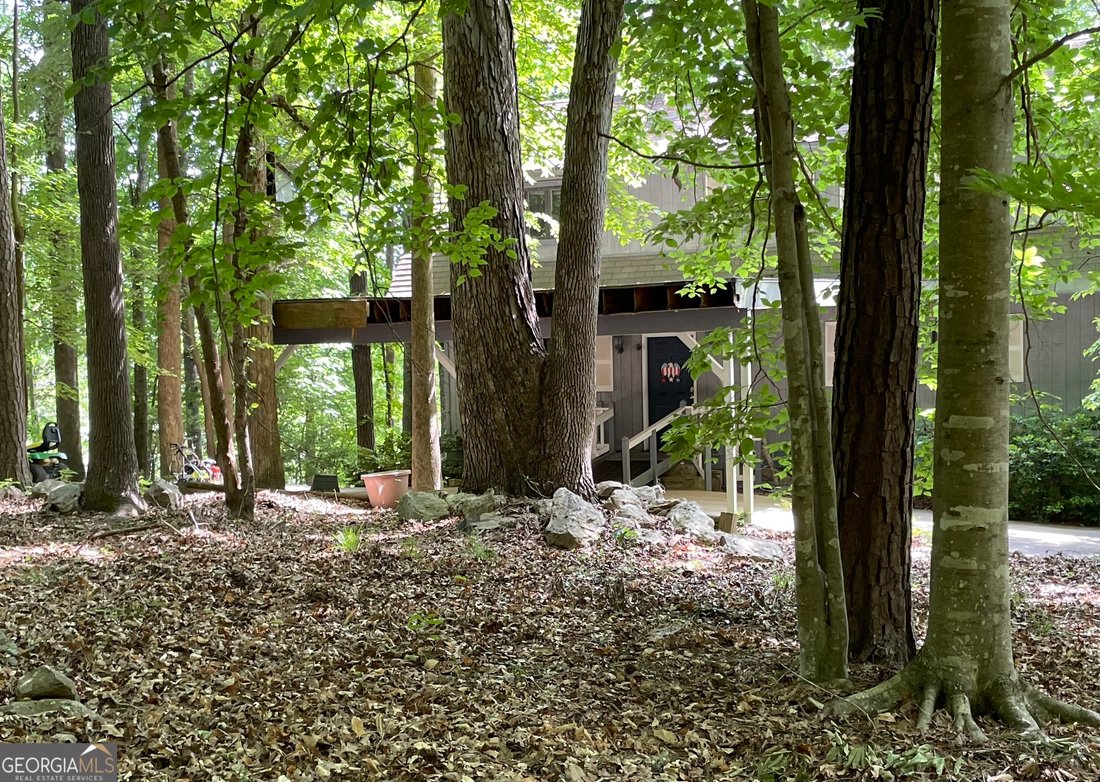 House in Buckhead, Georgia, United States 3 - 17961654