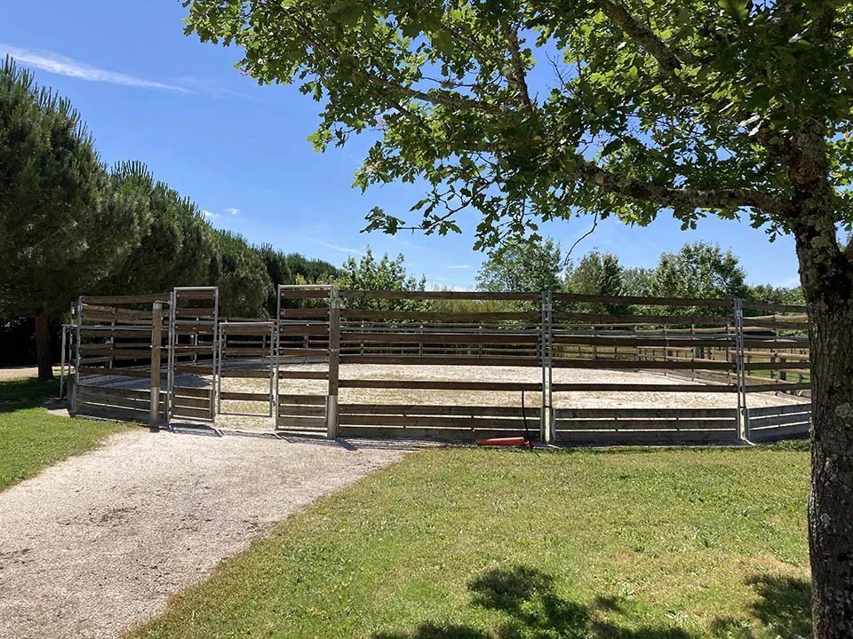 Estate in Sud, Montpon-Ménestérol, France 3 - 17958572