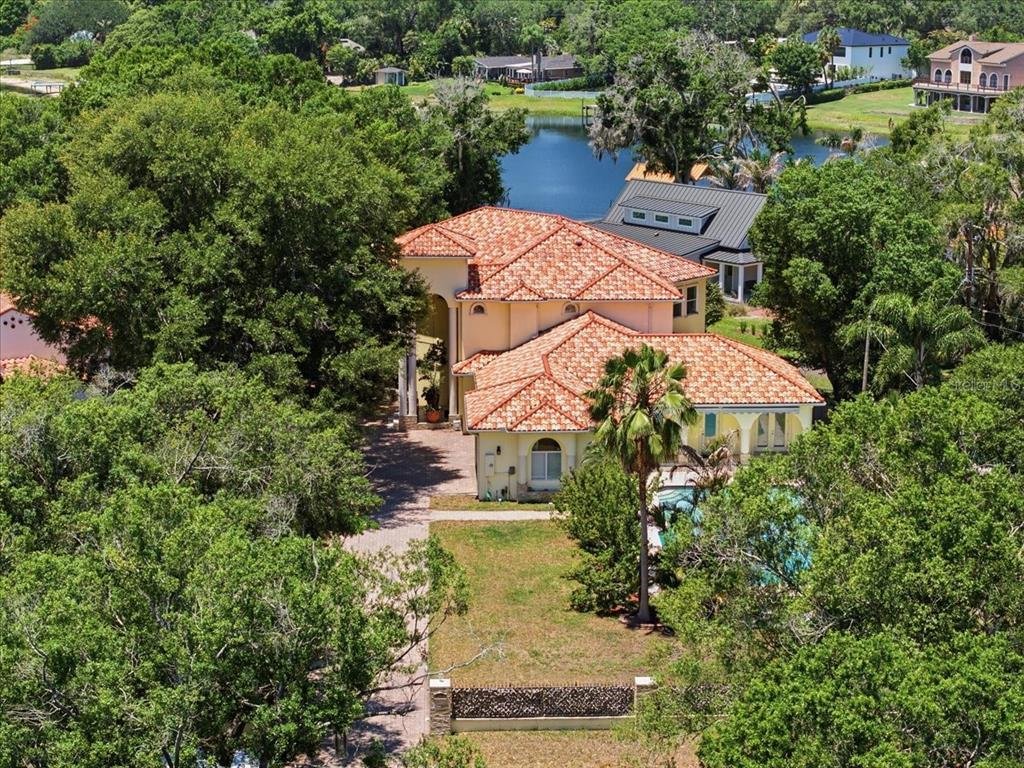 House in Tampa, Florida, United States 1 - 17957836