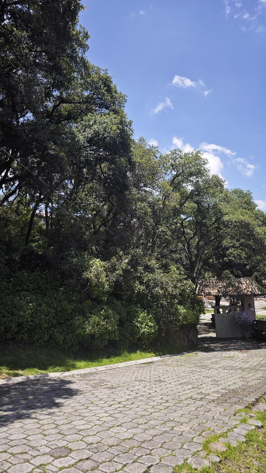 Land in Rancho Blanco Ejido de Espíritu Santo, State of Mexico, Mexico 3 - 17958621