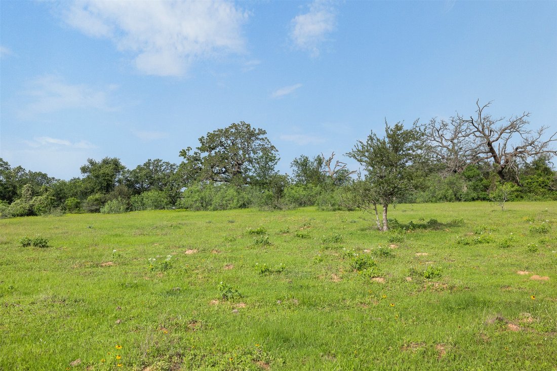 Farm Ranch in Thorndale, Texas, United States 2 - 17962403