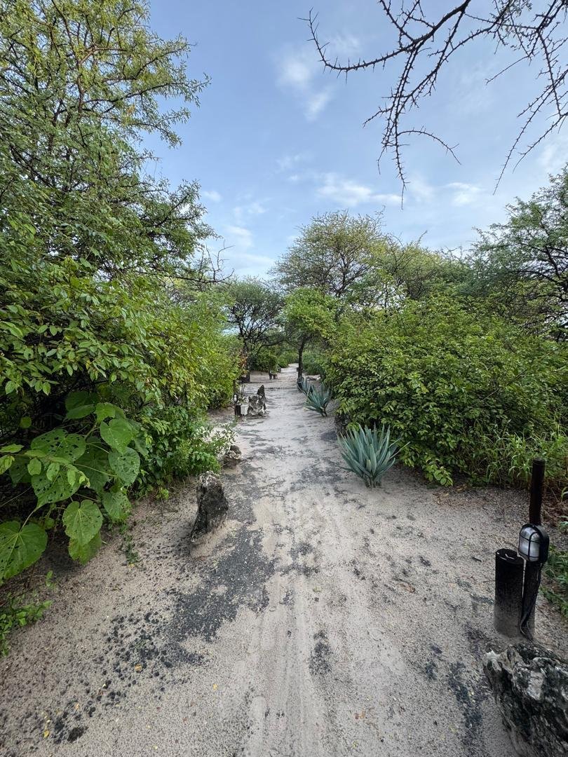 Farm Ranch in Grootfontein, Otjozondjupa Region, Namibia 5 - 17958793